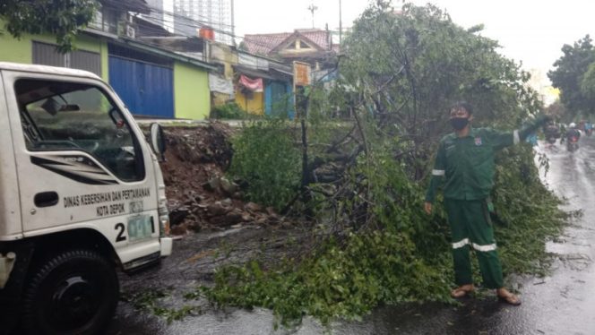 
					Satgas Pohon DLHK Kota Depok saat menangani pohon tumbang di putaran UI arah Depok, Senin (21/06/21). (Foto : istimewa).