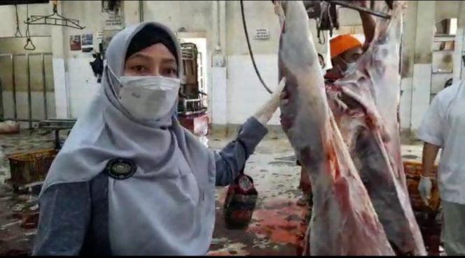
					Kepala DKPPP Kota Depok, Diah Sadiah memonitoring pelaksanaan pemotongan hewan kurban di UPTD RPH Kota Depok, Selasa (20/07/21). (Foto: JD 05/Diskominfo).