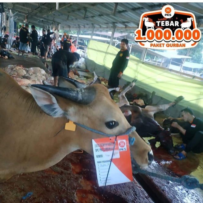 
					Fraksi PKS Kota Depok Potong 10 Ekor Sapi dan 13 Ekor Kambing