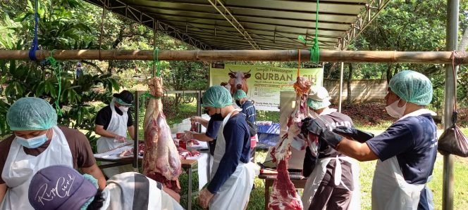 
					Qurban ASIH Masjid UI, Metode Qurban Percontohan Masa Pandemi