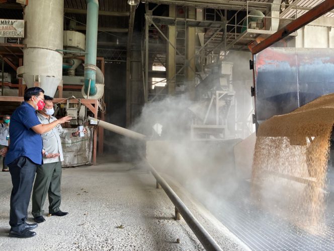 
					Tepis Isu Jagung Langka, Mentan Cek Stok Jagung Pabrik Pakan