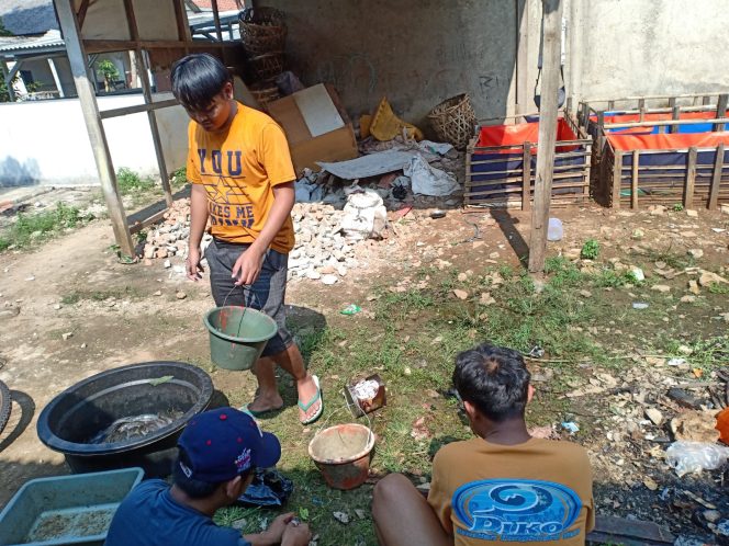 
					Kreatif, Karang Taruna RW.16 Kelurahan Beji Usaha Budidaya Lele