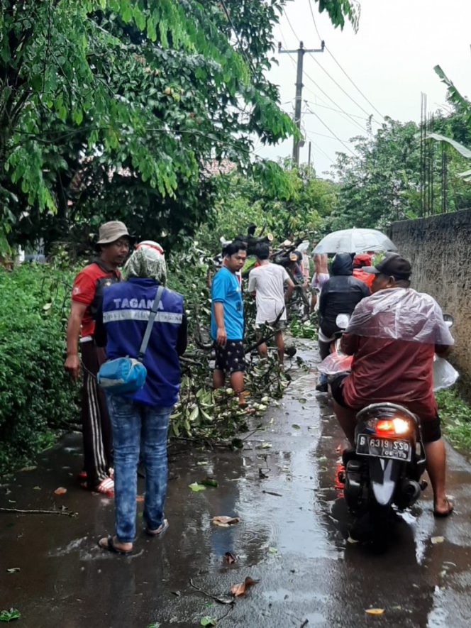 
					Satgas Pohon DLHK Kota Depok melakukan penanganan pohon tumbang di beberapa titik, Minggu (31/10/21). (Foto: istimewa)