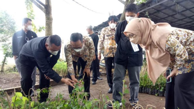 
					Wakil Wali Kota Depok, Imam Budi Hartono bersama Kepala DKP3 Kota Depok, Widyati Riyandani melihat bibit tanaman Air Mata Pengantin (AMP) di Kantor Cabang Dishut Jabar Wilayah 1, Kota Bogor, Kamis (20/01/22). (Foto : Diskominfo).