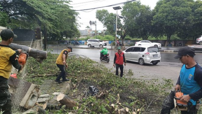 
					Satgas Pohon DLHK Kota Depok melakukan penanganan pohon tumbang di Jalan Juanda, Sabtu (05/03/22). (Foto: istimewa).

