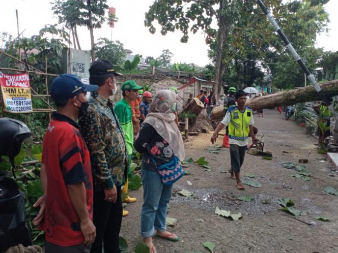 
					Camat Panmas bersama Lurah Depok Jaya meninjau lokasi terdampak pohon tumbang di RW 08, Sabtu (05/02/22). (Foto: istimewa).