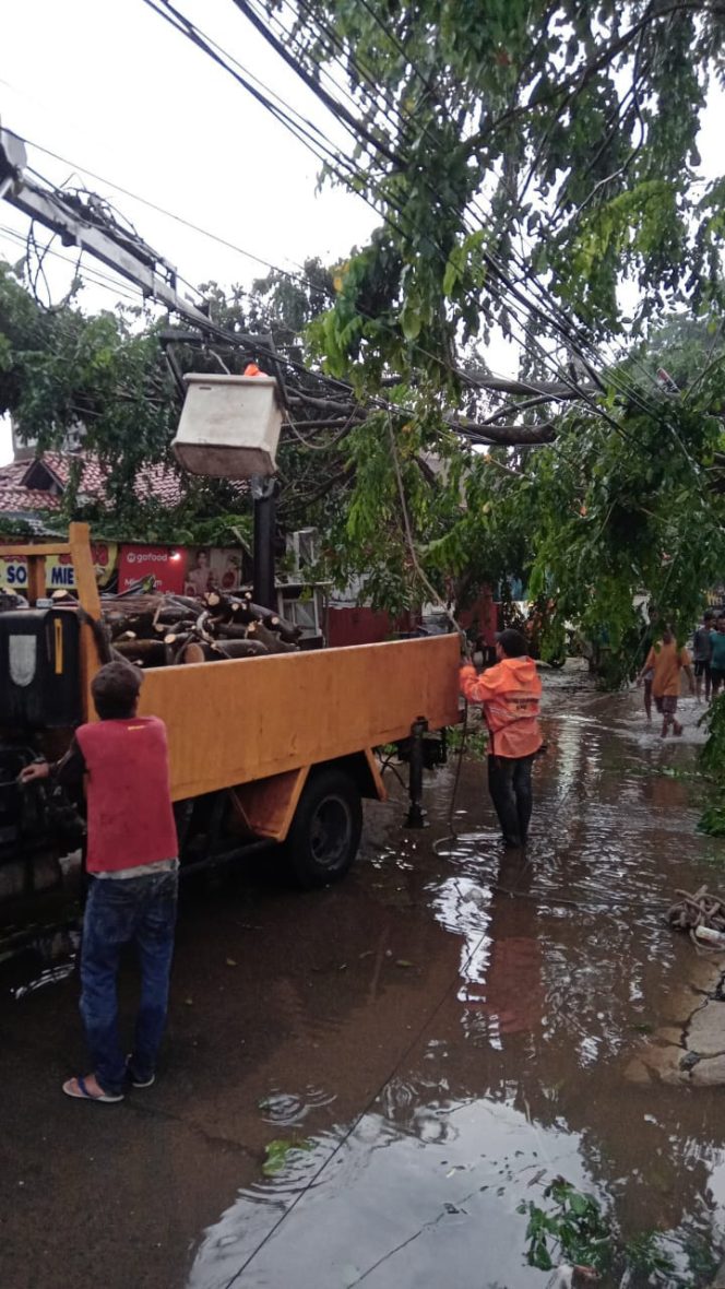 
					Satgas DLHK Kota Depok melakukan penanganan pohon tumbang di Kelurahan Mampang, Kecamatan Pancoran Mas, kemarin (15/05/22). (Foto: istimewa)