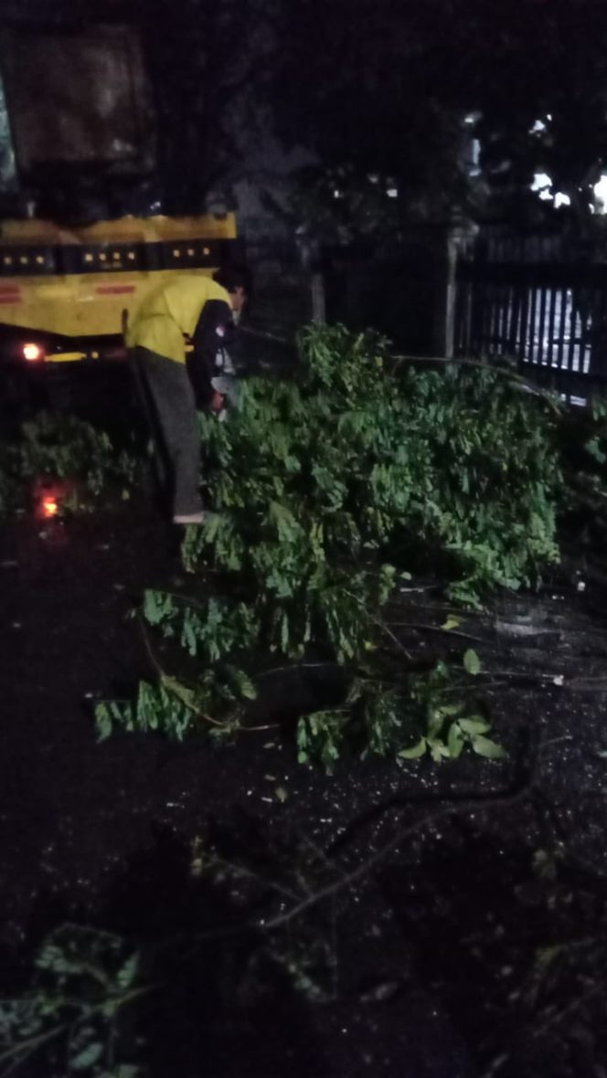 
					Penanganan Pohon Tumbang oleh Satgas Pohon DLHK Kota Depok, Senin (14/06/22). (Foto: istimewa)