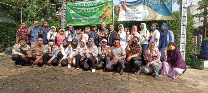 
					Pengabdian Masyarakat, Universitas Gunadarma Edukasi Warga Manfaatkan Lahan Pekarangan Rumah Untuk Budidaya Sayur dan Buah