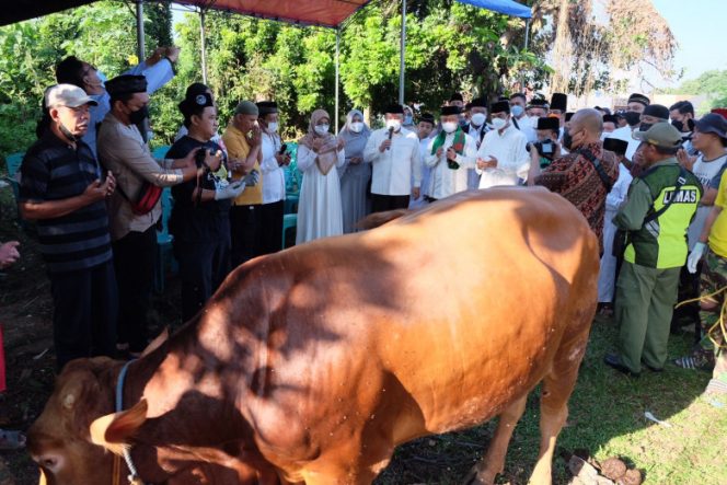 
					Wali Kota Depok, Mohammad Idris bersama Ketua TP-PKK Kota Depok, Elly Farida serta Sekertaris Daerah Kota Depok, Supian Suri menyaksikan pemotongan hewan kurban di Masjid Nurul Islam Kelurahan Tugu, Minggu (10/07/22). (Foto : JD01/Diskominfo).