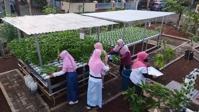 
					Tampilan kebun hidroponik di RW 12 Perumahan Maharaja, Kelurahan Rangkapan Jaya, Kecamatan Pancoran Mas. (Foto: istimewa).