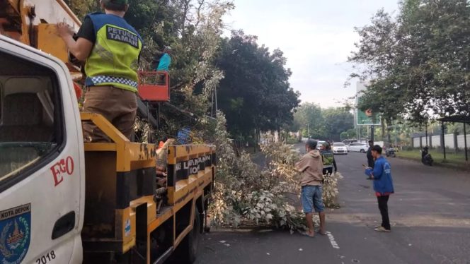 
					Satgas DLHK Depok Tangani Pohon Tumbang di Jalan Tole Iskandar