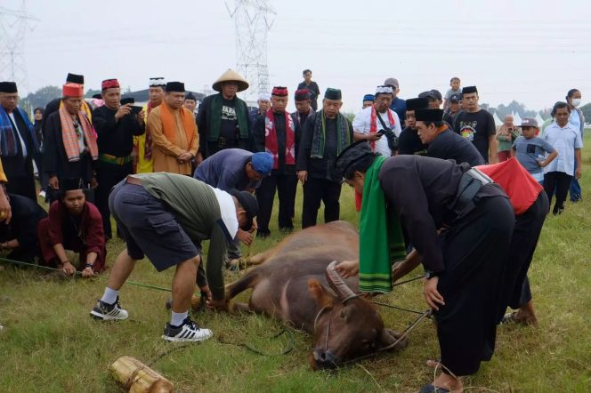 
					Sekda Kota Depok Supian Suri saat menyaksikan prosesi pemotongan kebo andil di hari kedua Lebaran Depok, Kamis (18/05/23). (Foto : Diskominfo).