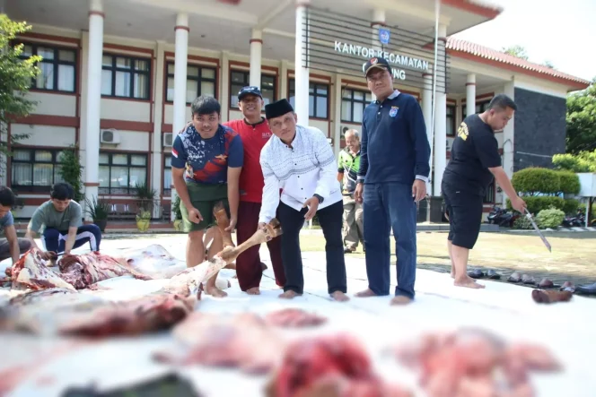 
					Camat Cipayung, Hasan Nurdin bersama Koordinator Kurban Ahmad Soma saat pemotongan hewan kurban di Halaman Kantor Kecamatan Cipayung, Kamis (29/06/23). (Foto: istimewa).