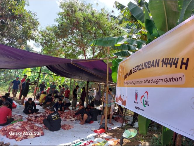 
					Idul Qurban, Biman Foundation Potong 10 Sapi dan 10 Kambing