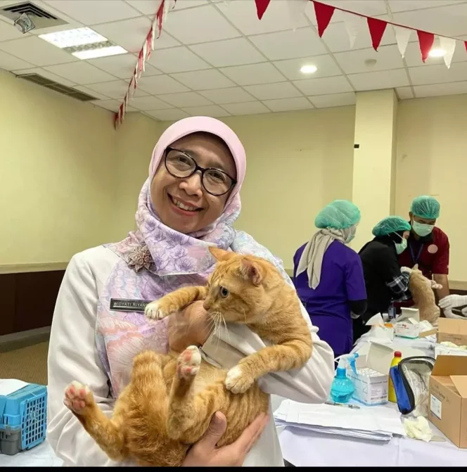 
					Meriahkan Hari Jadi ke-25 Depok, DKP3 Gelar Program Sterilisasi Kucing Domestik Gratis