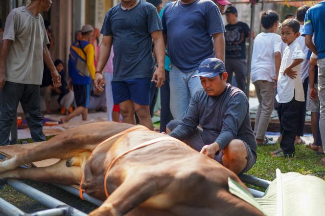 
					Perayaan Idul Adha 1445 H di Masjid Jami Ash Shiyaam: Semangat Berqurban dan Kebersamaan Warga