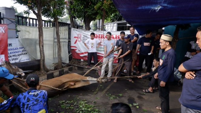 
					Rumah Sakit Simpangan Depok Potong Hewan Kurban, Perkuat Kebersamaan di Momen Idul Adha