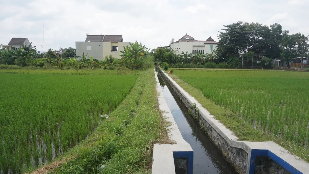 Fenomena Urban Farming di Lahan Sempit Perumnas Depok: Solusi Atasi Banjir dan Stunting?