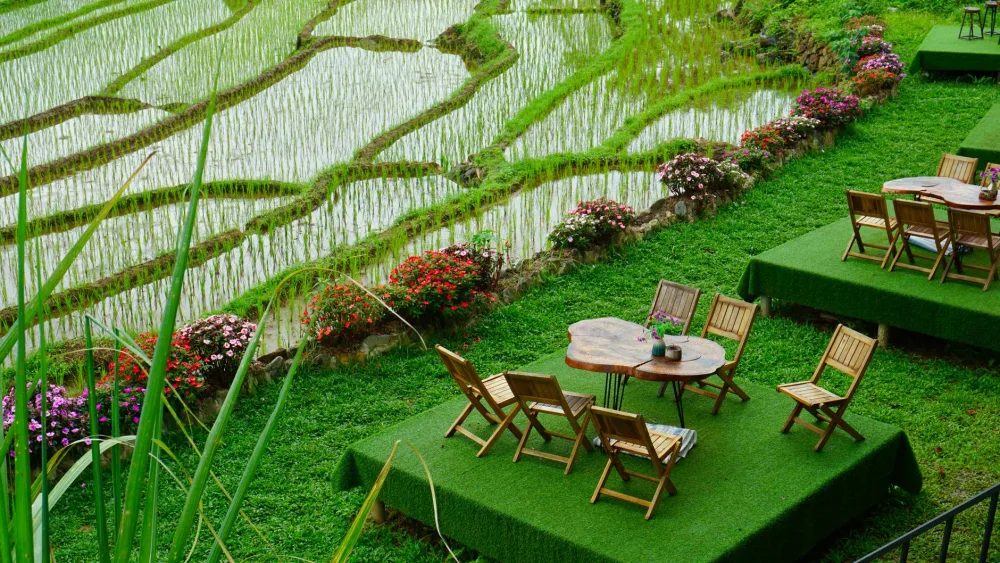 Review 3 Tempat Ngopi dengan Pemandangan Langsung Sawah di Tapos: Alternatif Healing Murah Meriah